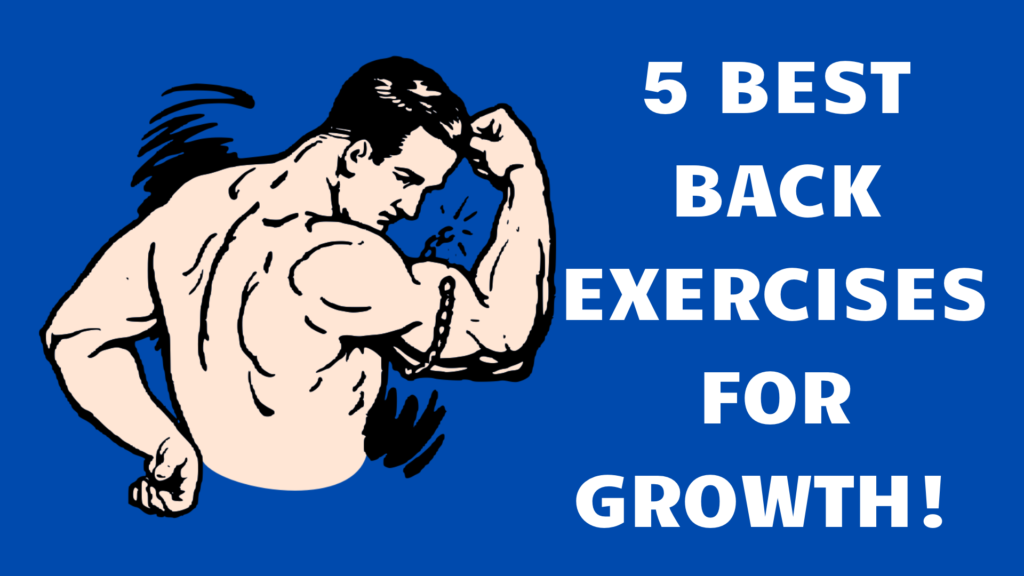 5 Best Back Exercises for Growth!